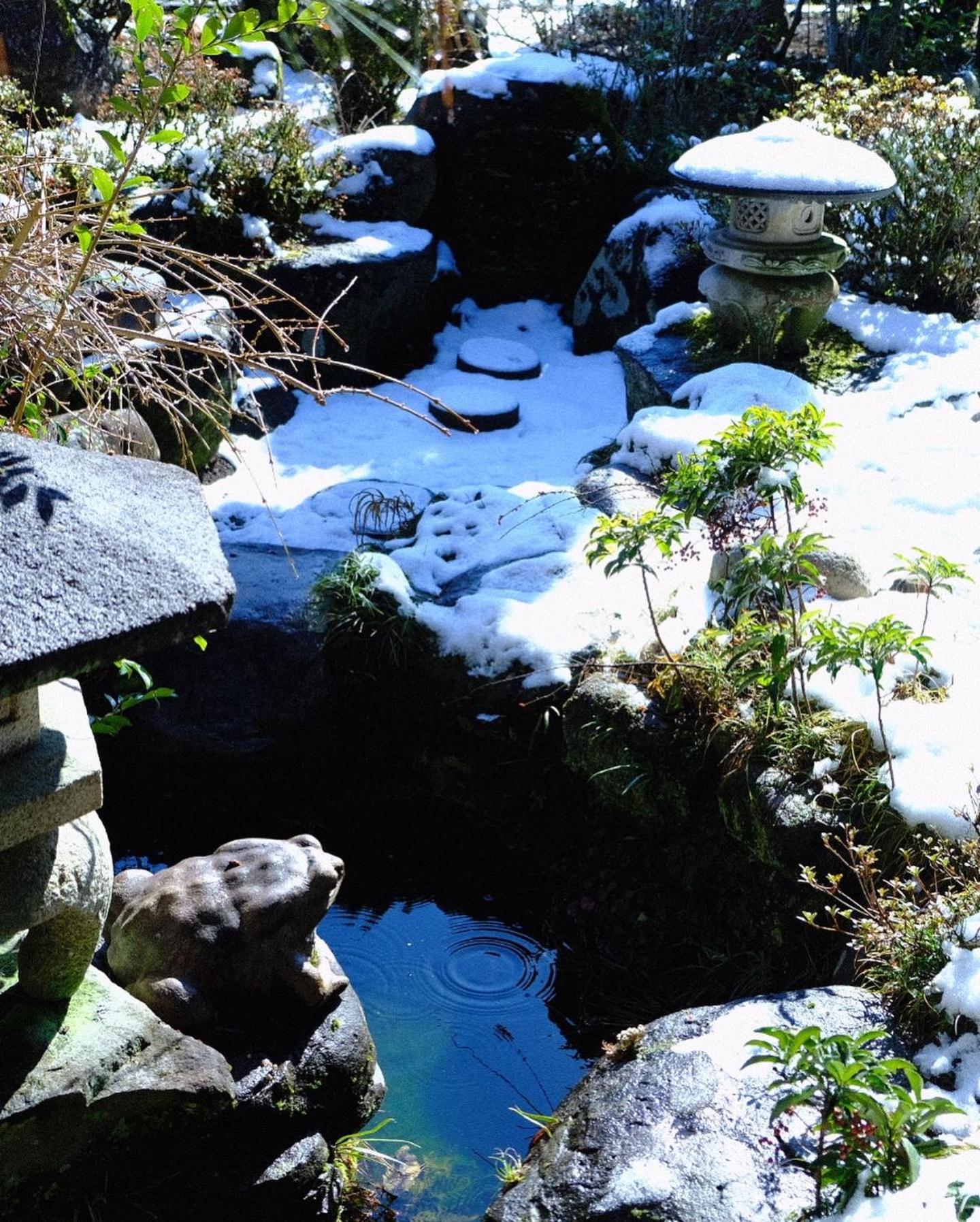 Guesthouse Shigi Nakatsugawa Buitenkant foto